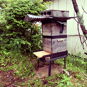 フィールドノオト36  養蜂箱（録音、写真、文：畠中勝）