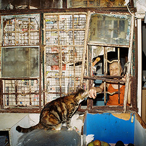我的香港　 Vol.010　我的猫部屋 （写真・文：ERIC）